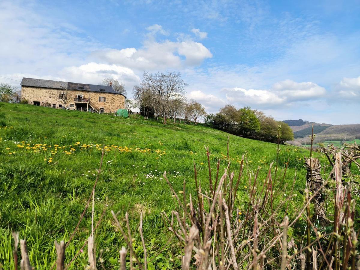 Chambres D'Hotes Montjouan Larochemillay Eksteriør bilde